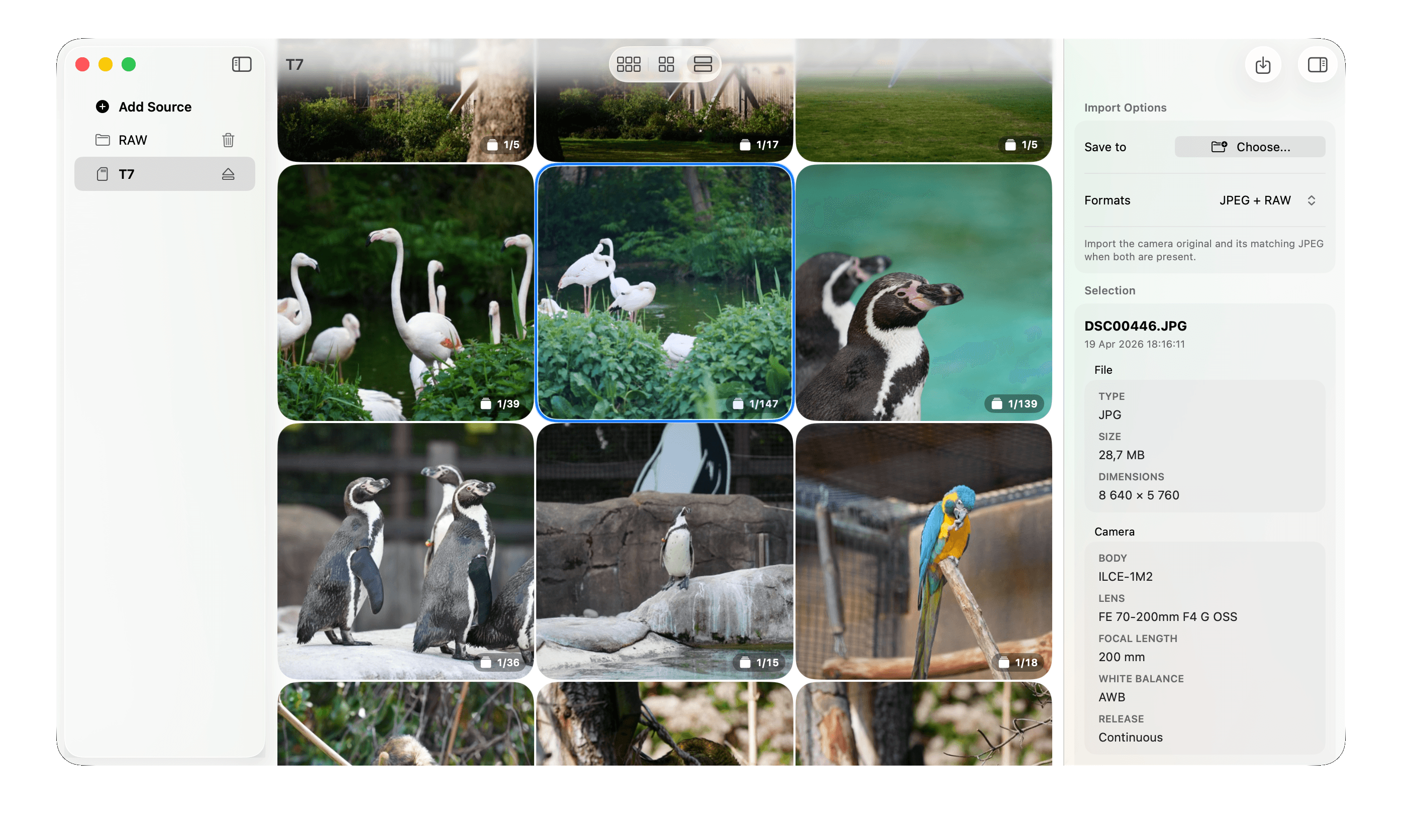 Kepper showing burst groups and import options